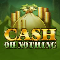 Cash or Nothing game screenshot